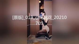 [原版]_019_小马寻花_20210709