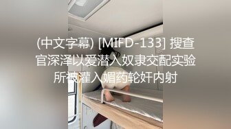 某房流出【商场女厕全景后拍】少妇 小姐姐 拉屎撒尿合集【296V】 12(59)