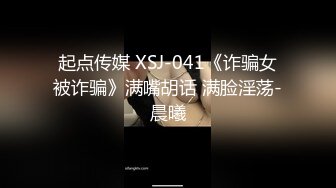 起点传媒 XSJ-041《诈骗女被诈骗》满嘴胡话 满脸淫荡-晨曦