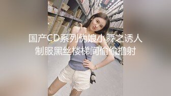 国产CD系列伪娘小舞之诱人制服黑丝楼梯间偷偷撸射