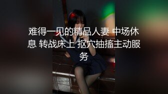 【beauty】高价良家云盘流出，极品反差女友，白富美女神，做爱视频上下皆粉 (4)(下)