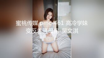 牛B大神商场女厕暗藏摄像头偷窥53位美女少妇嘘嘘 (29)