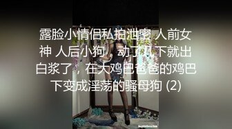 [高清中文字幕] SSPD-134高傲千金姐妹花的墮落