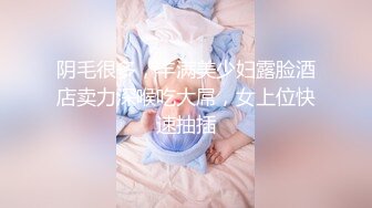   高端泄密极品美女上海何麦伢与男友啪啪流出