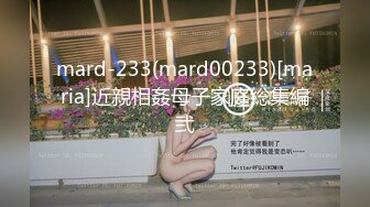 mard-233(mard00233)[maria]近親相姦母子家庭総集編弐