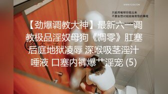 麻豆傳媒 這個面試有點硬 MDHG0007 最甜暗黑性愛教主 孟若羽