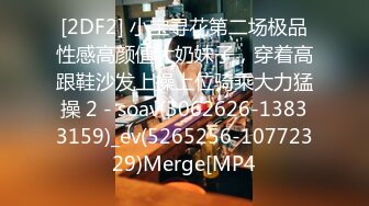 052524-001-1pon 肉便器育成所 ~ 社長専用性【超清无码】