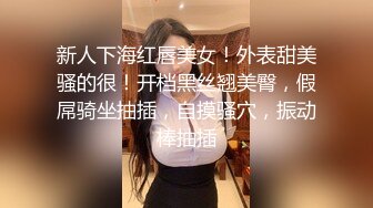 STP29226 170CM新人甜美小妞！苗条身材纤细美腿！电动假屌美臀套弄，我要高潮了浪叫呻吟，表情淫荡好骚 VIP0600