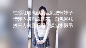 性感红唇高颜值巨乳肥臀妹子情趣内裤自慰诱惑，白色网袜拨开内裤露肥逼自摸出水假吊抽插