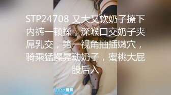 3/31最新 性感风骚少妇让大哥吃奶玩逼口交大鸡巴样子好骚VIP1196