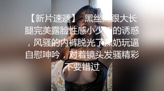 【梦幻谷先生】泡良大神，开宝马的少妇来偷情，风情万种高跟做爱，浪叫震天求满足