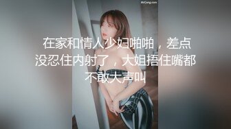 麻豆传媒 SH-008 美女特勤为了救哥哥 搜集证据 落入匪窝被玩弄