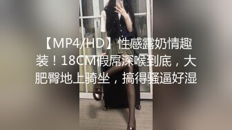 大鸡鸡无套后入蕾丝肥臀