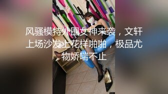 【AI画质增强】探花档案~绝美车模~全程露脸极品身材