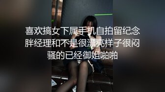 喜欢搞女下属手机自拍留纪念胖经理和不是很漂亮样子很闷骚的已经御姐啪啪