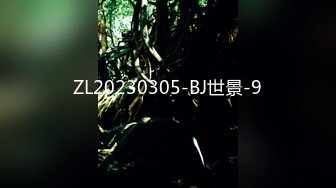 ZL20230305-BJ世景-9