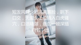 MFK-0045妈妈的职业2