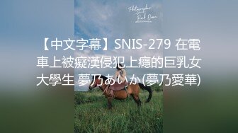 【中文字幕】SNIS-279 在電車上被癡漢侵犯上癮的巨乳女大學生 夢乃あいか(夢乃愛華)