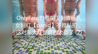 OnlyFans野性前卫刺青巨乳女网红【panid】不雅私拍，这对车大灯是真的太顶了 (2)