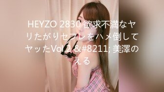 HEYZO 2830 欲求不満なヤリたがりセフレをハメ倒してヤッたVol.2 &#8211; 美澤のえる