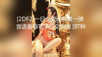 [2DF2]一日女奴调教第一弹 言语羞辱写字肛交啪啪 [BT种子]