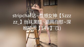 stripchat站~性感女神【5zzzzz_】丝袜美腿~道具自慰~深喉喷水【14V】 (1)