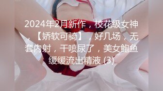 【新片速遞 】  ❤️肆意蹂躏❤️越抽打，越亢奋，从进入前的矜持到插入后的全方位电动小马达。论大鸡巴的重要性，只有体会过的人才明白