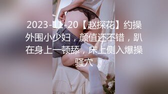 2023-11-20【赵探花】约操外围小少妇，颜值还不错，趴在身上一顿舔，床上侧入爆操骚穴