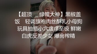 如此佳人 值得试驾 婕咪-日租女友遊樂趣[212P+2V/1.4G]