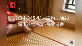 91CM-245-私人玩物二.海边露出连续高潮-高黎遥香