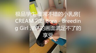 极品学生 非常不错的小乳房[CREAM PIE] Bora - Breeding Girl 淫荡的画面满足不了的享受