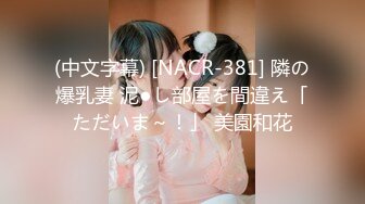 (中文字幕) [NACR-381] 隣の爆乳妻 泥●し部屋を間違え「ただいま～！」 美園和花