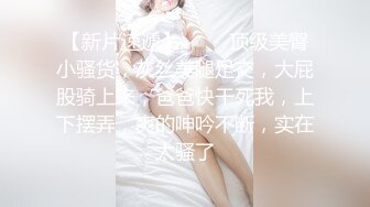 私房9月CD精选 大师街拍抄底，超清原版??各种骚丁疑似无内