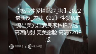 【极品性爱精品泄_密】2022最新反_差婊《22》性爱私拍流出美乳淫妻良家私拍甄选 高潮内射 完美露脸 高清720P版