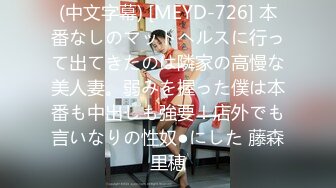 6/8最新 极品超高颜值少妇抄底微胖小美眉啪啪VIP1196