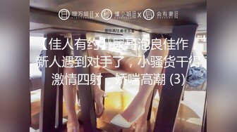 超靓美女『莉奈酱』欲望号啪啪列车 无视旅客和男友车上全裸啪啪