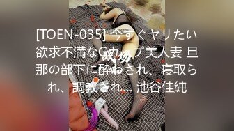 [TOEN-035] 今すぐヤリたい欲求不満なGカップ美人妻 旦那の部下に酔わされ、寝取られ、調教され… 池谷佳純