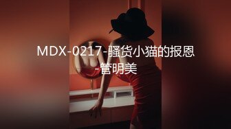 MDX-0217-骚货小猫的报恩-管明美