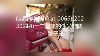 (sa國際傳媒)(sat-0066)(20230214)十二星座的性愛開關 ep4 雙子座