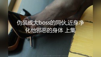 伪装成大boss的同伙,近身净化他邪恶的身体 上集