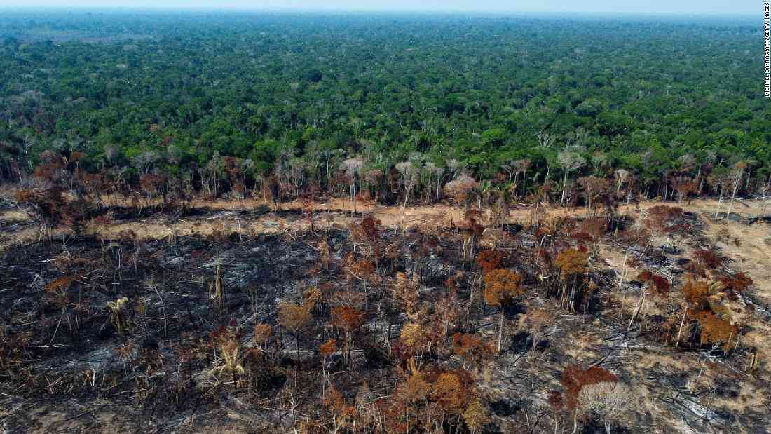 Brazil pledges to reduce deforestation by a sixth in the next decade